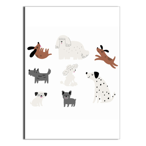 Plakat Funny Dog